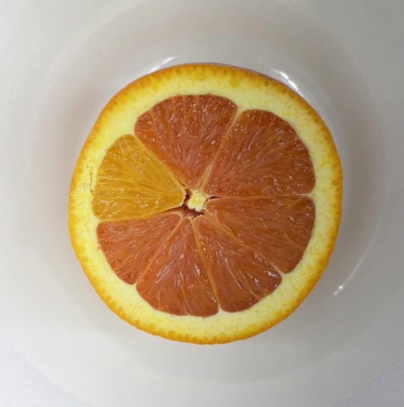 7 photos that immediately raise a lot of questions