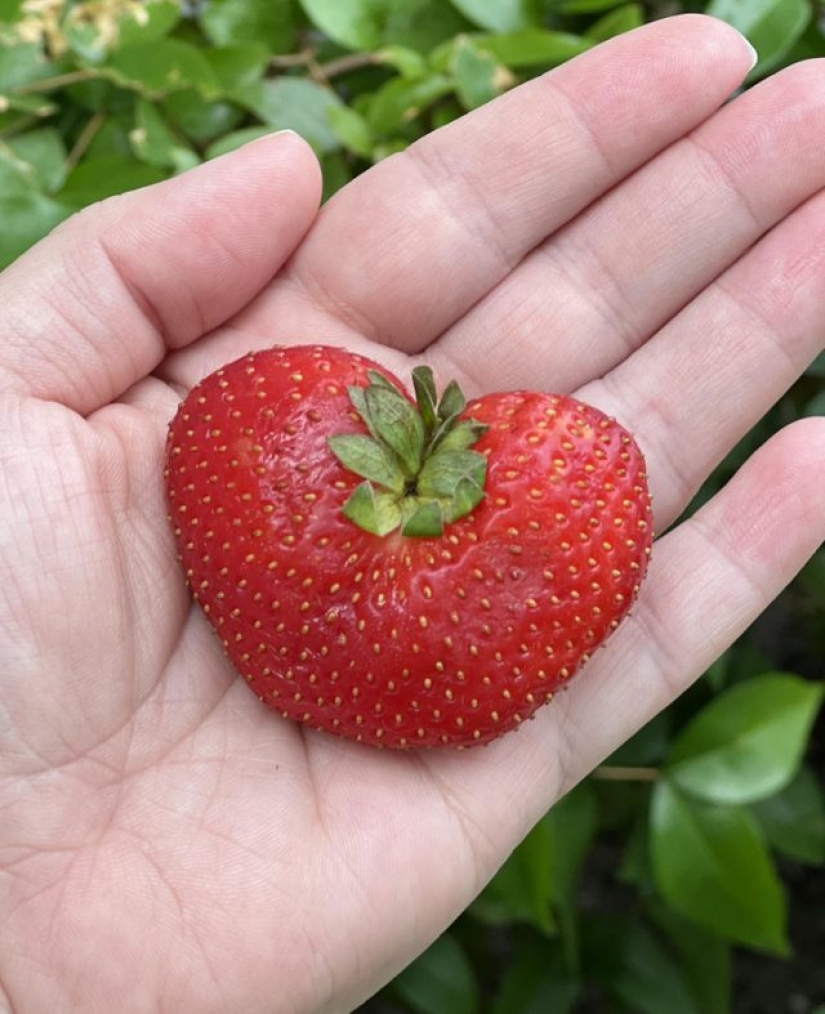 7 photos that immediately raise a lot of questions