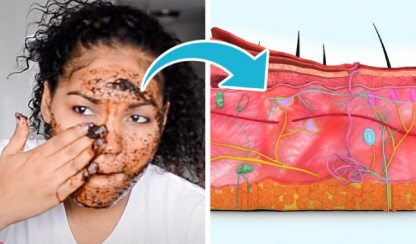 7 productos para el cuidado de la piel que pueden dañar tu piel 7 productos para el cuidado de la piel que pueden dañar tu piel