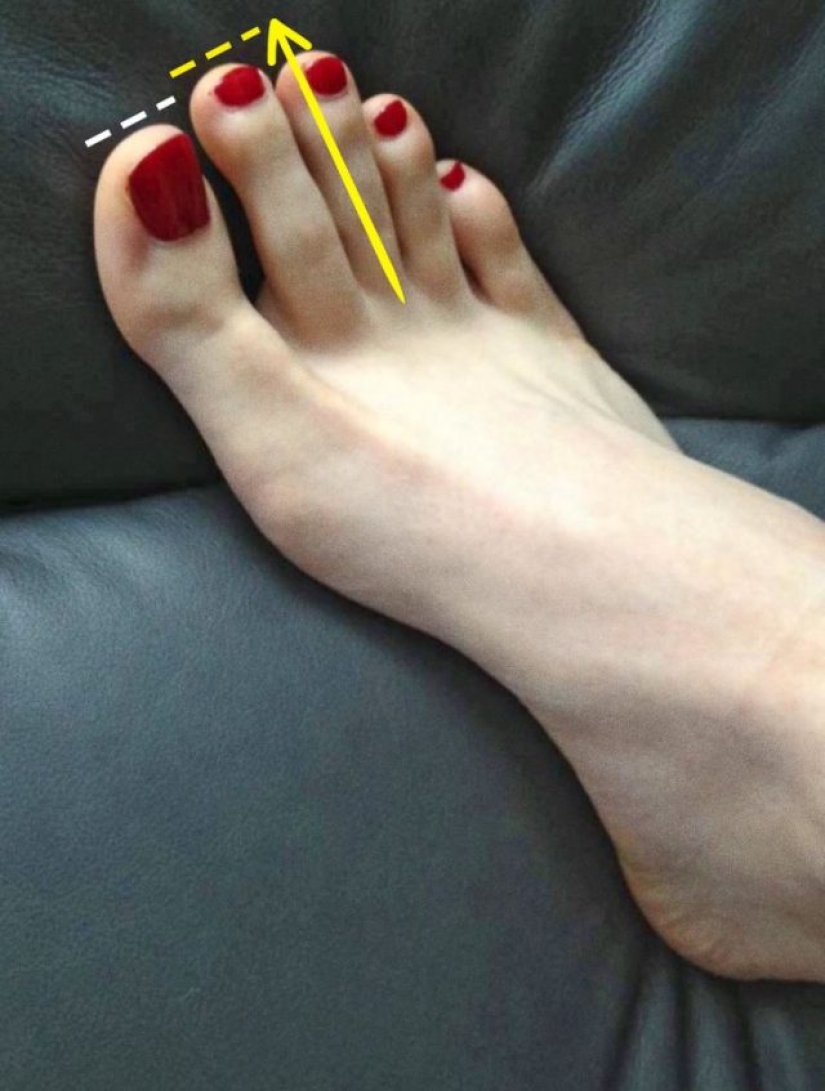 7 things you've seen a million times and you probably still don't know their real name