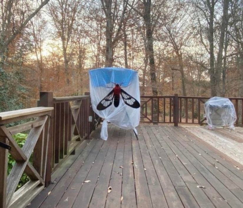 7 times we let our imaginations run wild 7 times we let our imaginations run wild