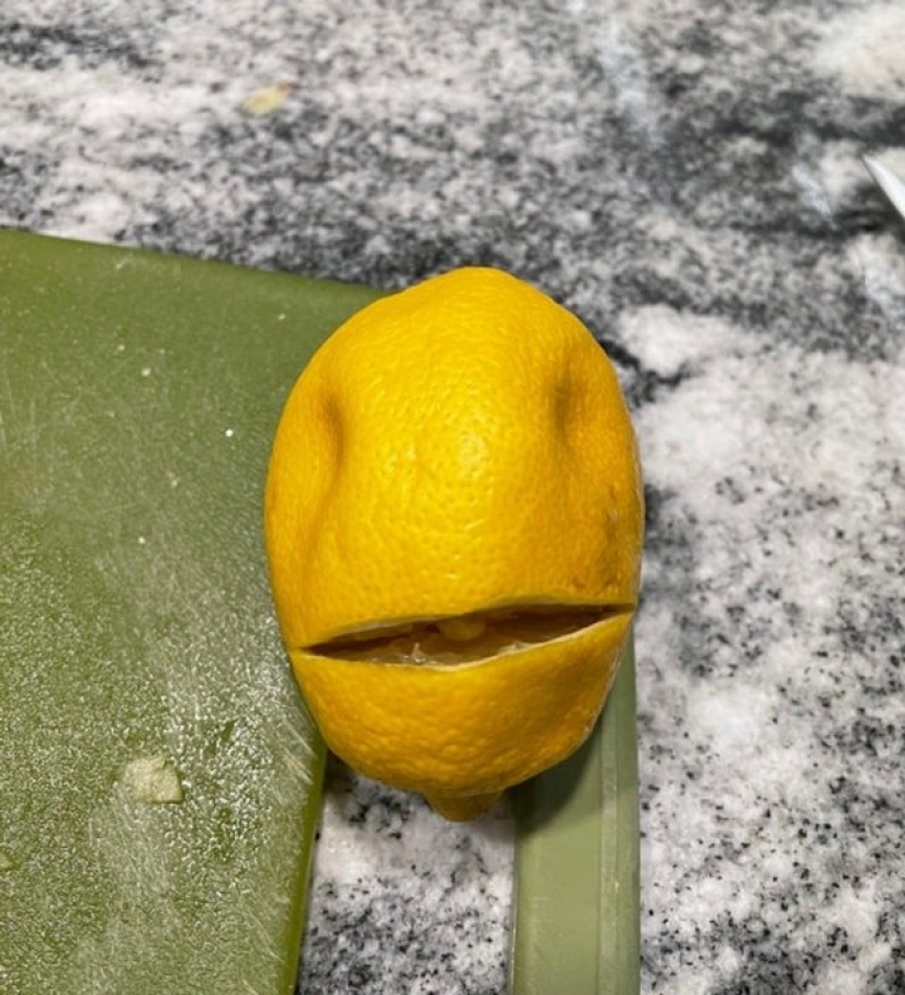 7 veces que dejamos volar nuestra imaginación 7 veces que dejamos volar nuestra imaginación