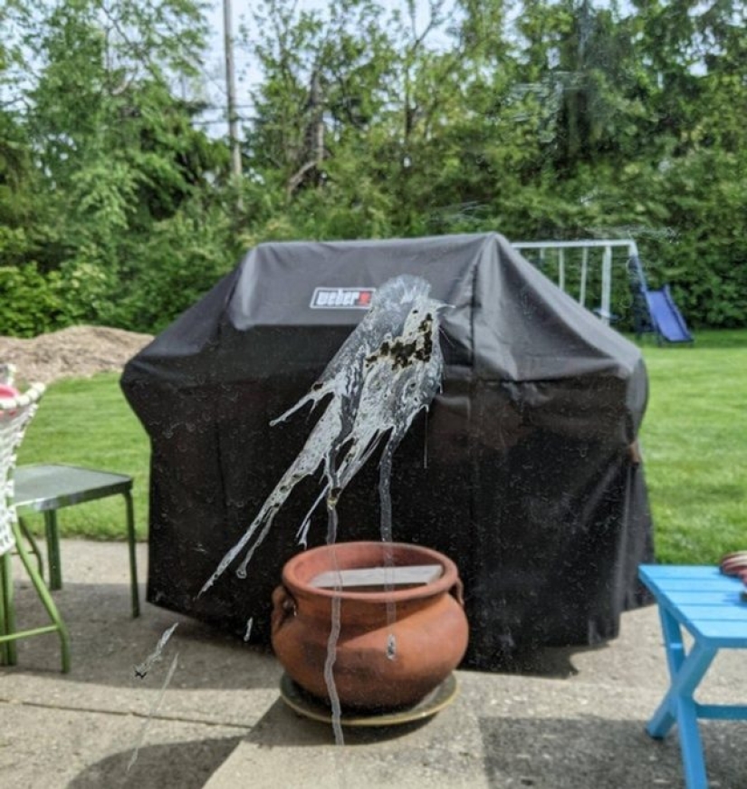 7 veces que dejamos volar nuestra imaginación 7 veces que dejamos volar nuestra imaginación