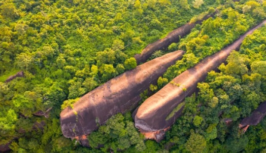 7 veces que dejamos volar nuestra imaginación