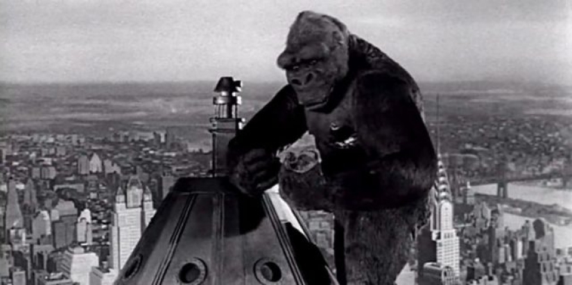 8 animales más espeluznantes en películas de terror