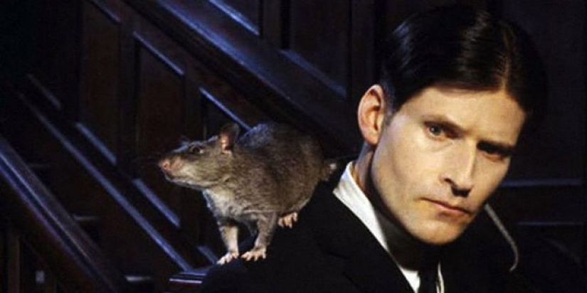 8 animales más espeluznantes en películas de terror