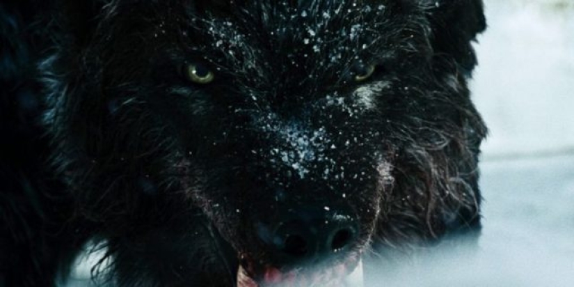 8 animales más espeluznantes en películas de terror