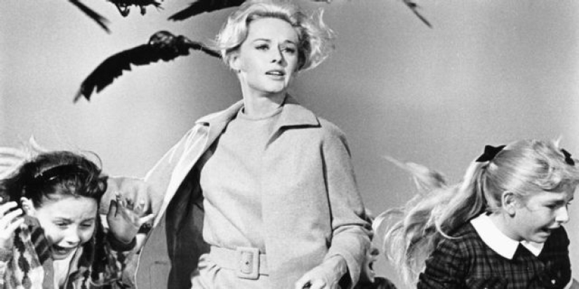 8 animales más espeluznantes en películas de terror