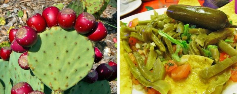 8 cosas inesperadas que puedes comer