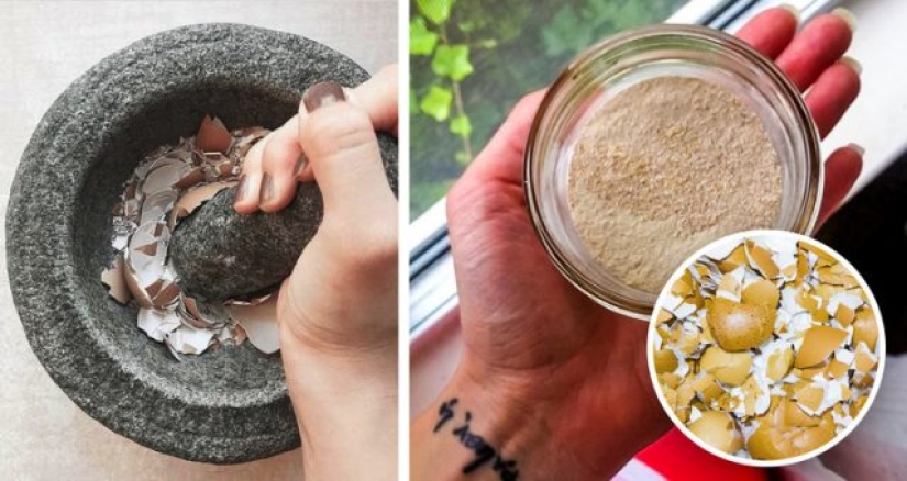 8 cosas inesperadas que puedes comer