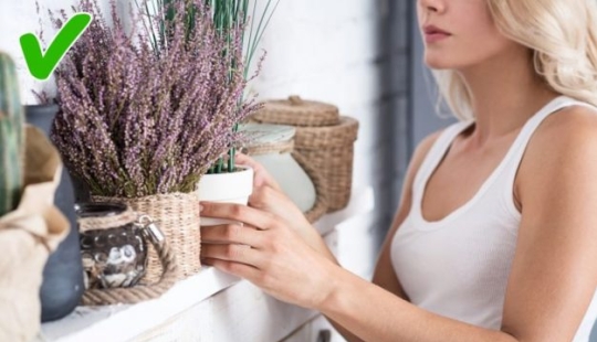 8 cosas que te ayudarán a controlar tu ira