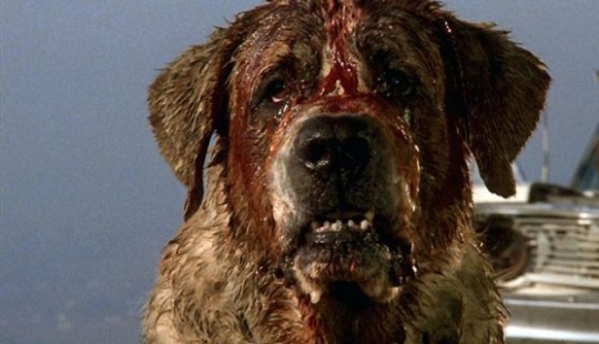 8 Creepiest Animals in Horror Movies