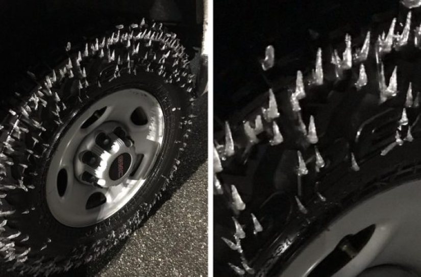 8 fotos donde la magia está en los detalles