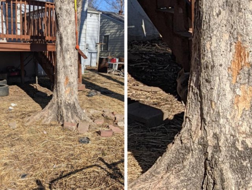 8 fotos donde la magia está en los detalles