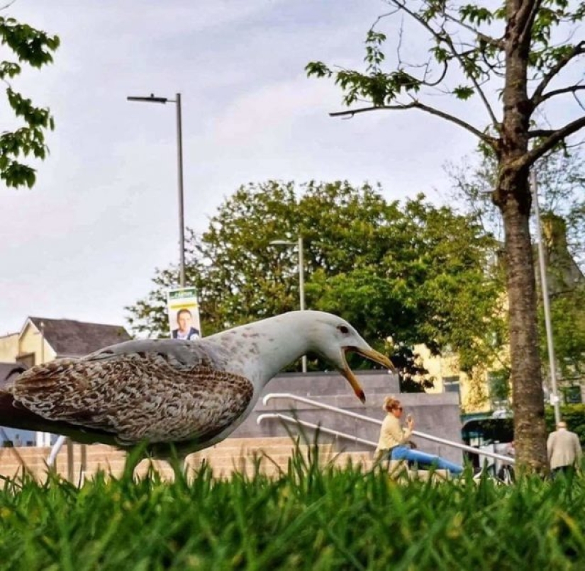 8 illusions 8 illusions