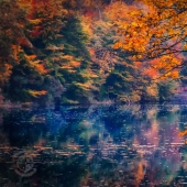 8 maravillas de la naturaleza que en realidad son hechas por el hombre