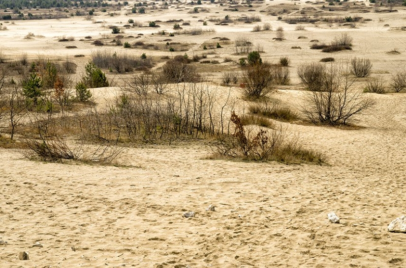 8 maravillas de la naturaleza que en realidad son hechas por el hombre