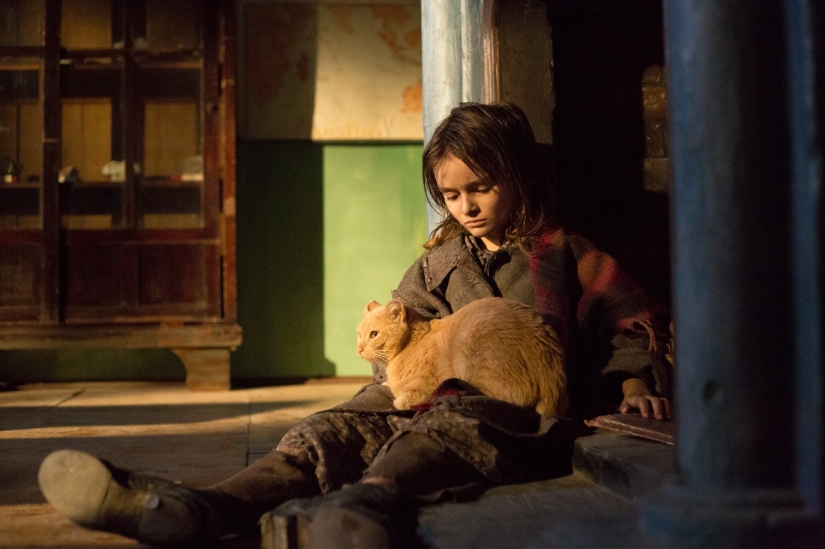 8 Modern War Films that You should watch 8 Modern War Films that You should watch