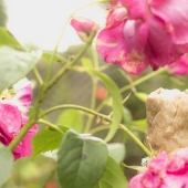 8 parejas que rompieron todos los estereotipos sobre cómo debería ser una relación ideal