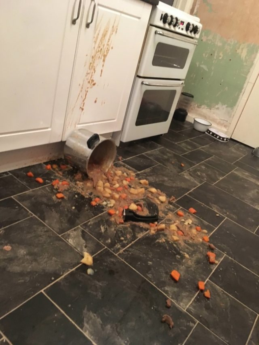 8 photos that capture the pain of saying "This is not my day"