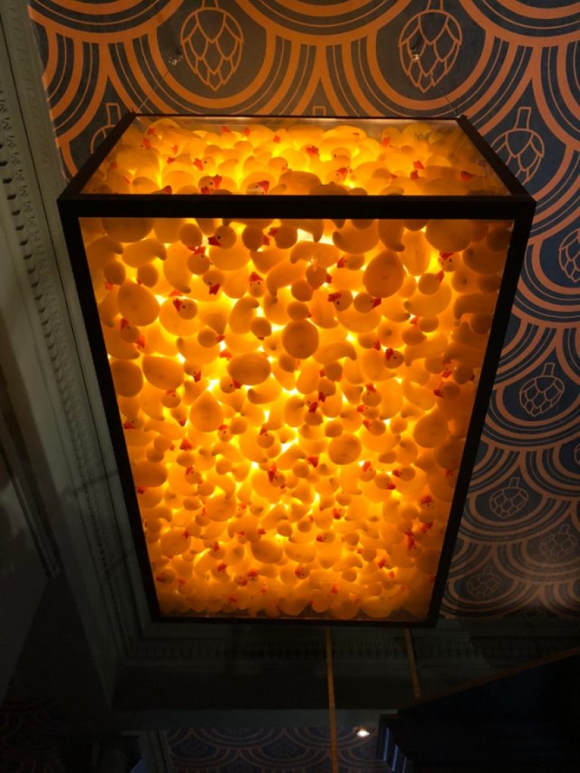 8 photos where the magic is in the details 8 photos where the magic is in the details