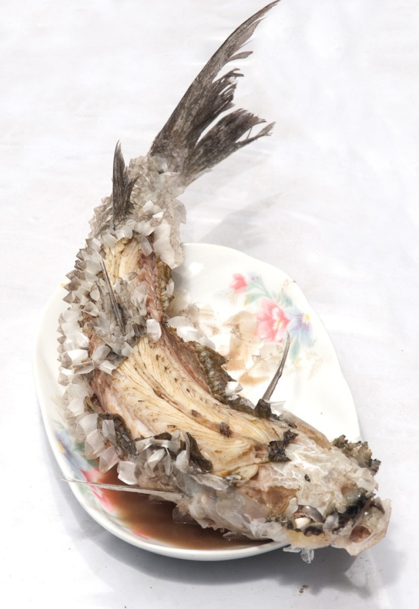 8 platos únicos de Tailandia que satisfarán a cualquier gourmet 8 platos únicos de Tailandia que satisfarán a cualquier gourmet