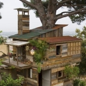 8 poderosas fotos que prueban que nuestro planeta todavía tiene una oportunidad