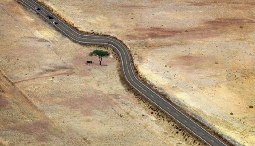 8 Powerful Photos That Prove Our Planet Still Has a Chance