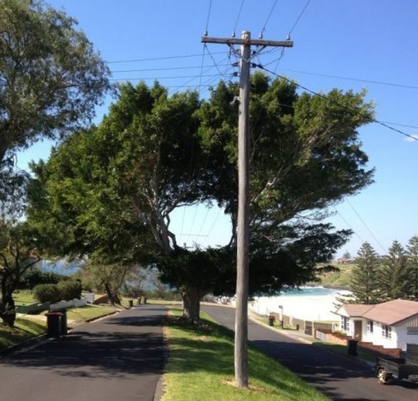 8 Powerful Photos That Prove Our Planet Still Has a Chance