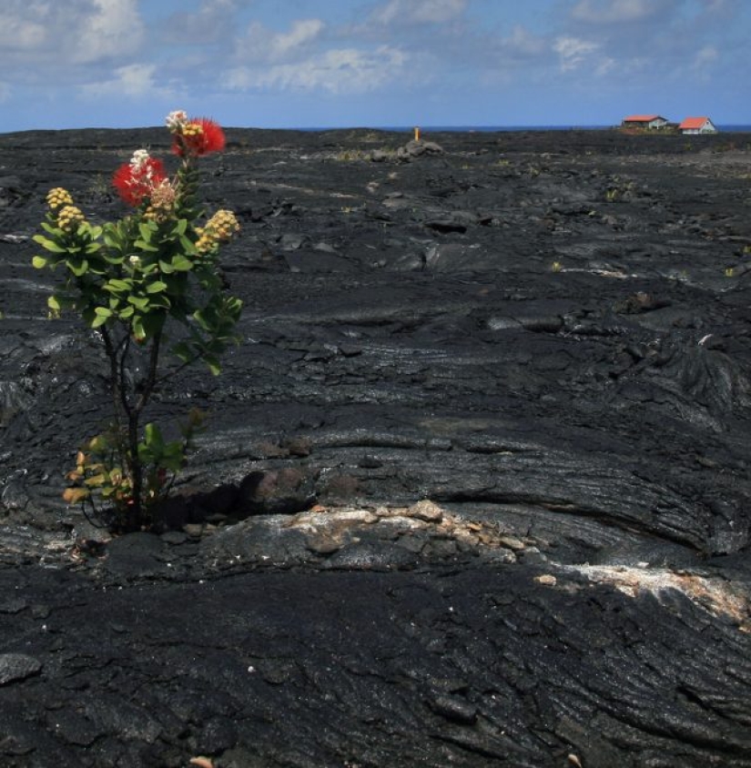8 Powerful Photos That Prove Our Planet Still Has a Chance