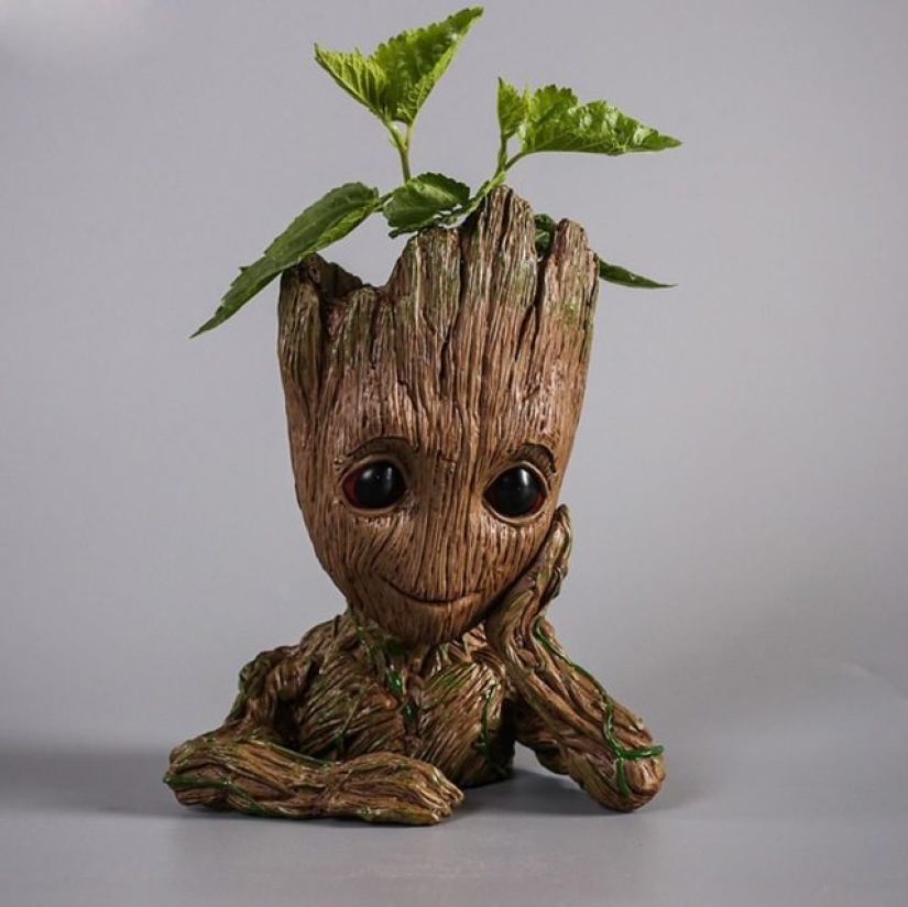 8 Productos útiles para cultivadores de flores de Aliexpress