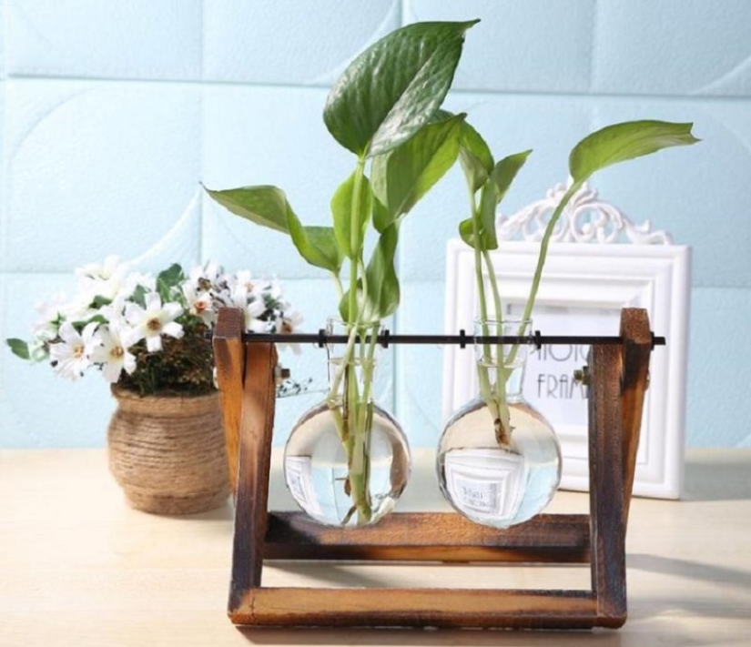 8 Productos útiles para cultivadores de flores de Aliexpress