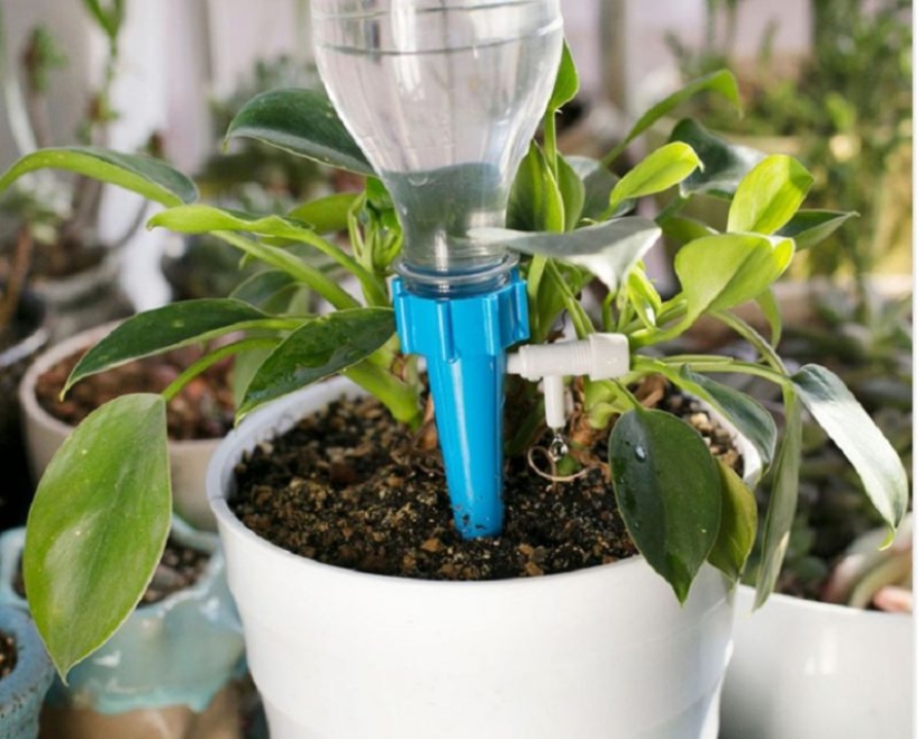 8 Productos útiles para cultivadores de flores de Aliexpress