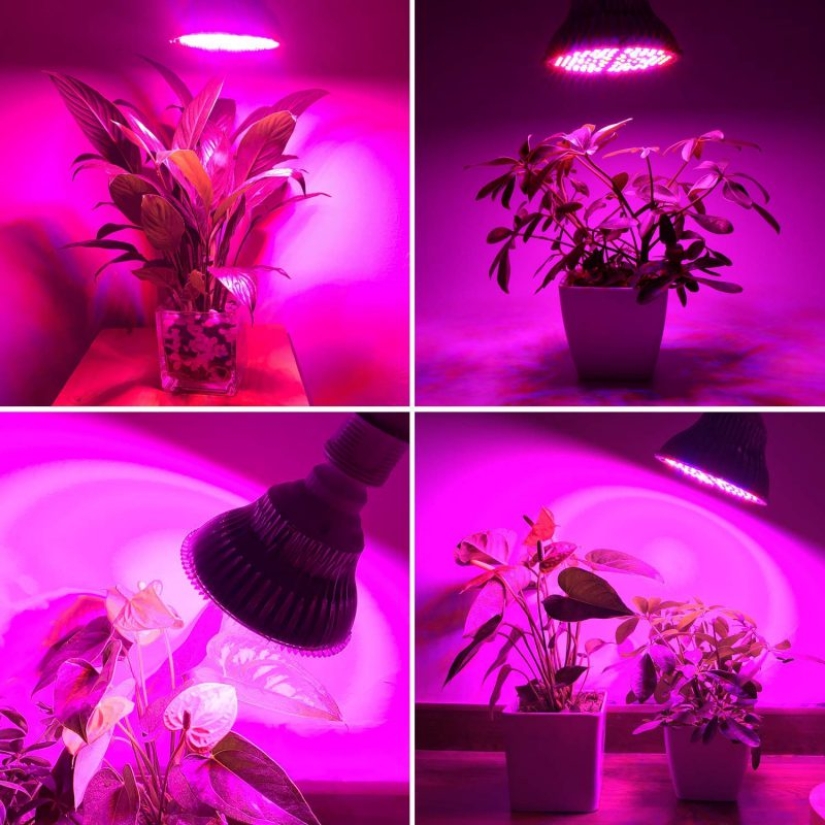 8 Productos útiles para cultivadores de flores de Aliexpress