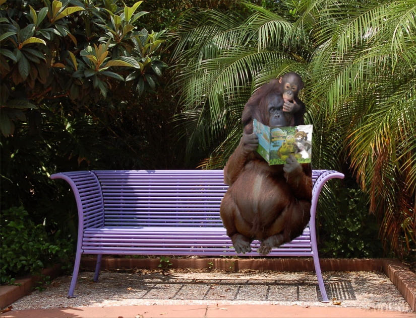 8 razones científicas por las que deberías leer libros 8 razones científicas por las que deberías leer libros