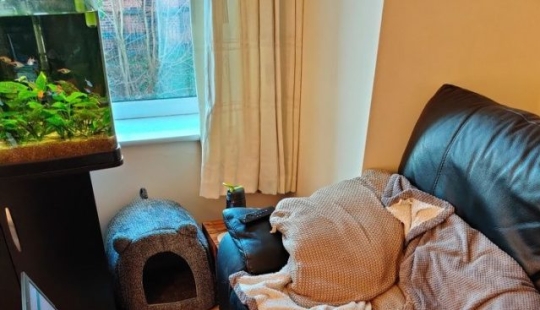 8 Reddit Users Revealed What Happens When They Work From Home 8 Reddit Users Revealed What Happens When They Work From Home