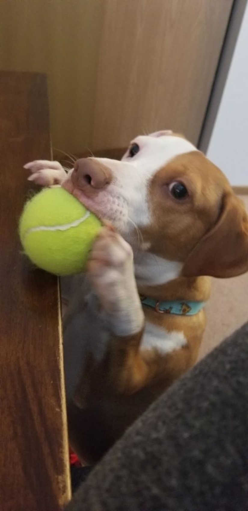 8 Reddit Users Revealed What Happens When They Work From Home