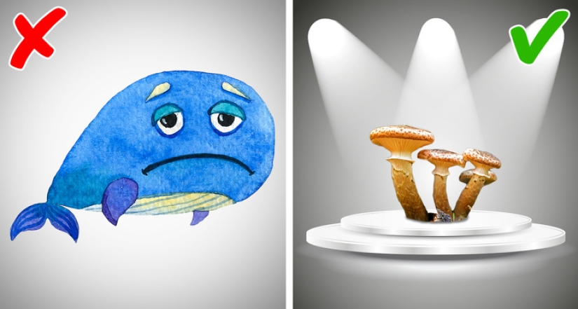 8 Scientific Beliefs We Officially Declared False