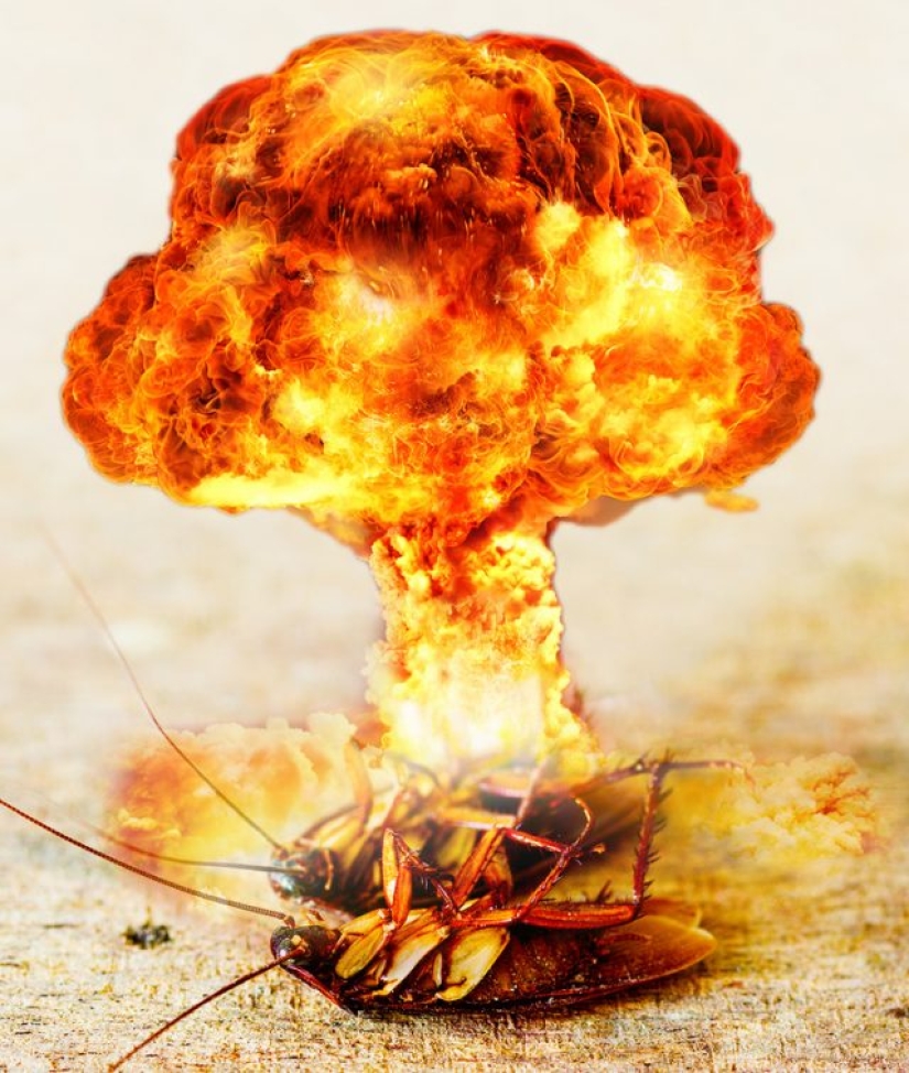 8 Scientific Beliefs We Officially Declared False