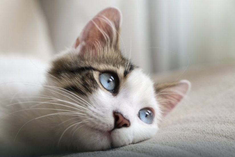 8 señales de que eres más inteligente que los demás 8 señales de que eres más inteligente que los demás