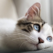 8 signs that you are smarter than others