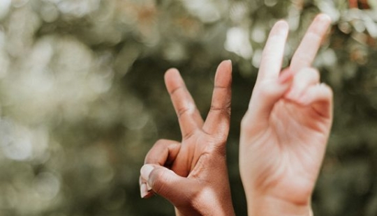 8 things you should never do in the United States, according to Americans 8 things you should never do in the United States, according to Americans