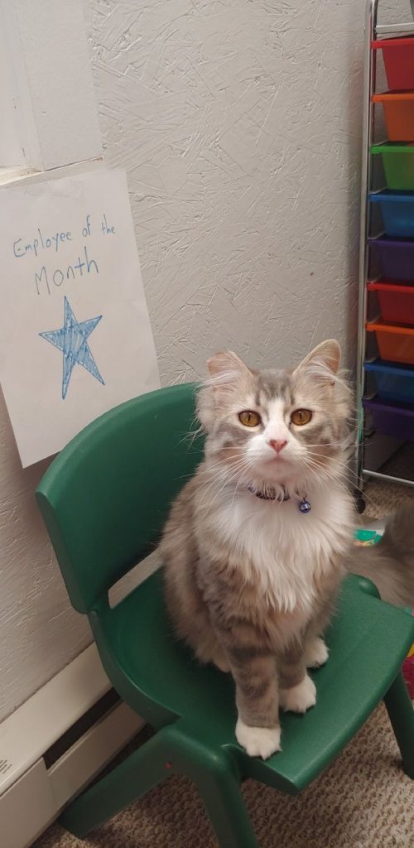 8 usuarios de Reddit revelaron lo que sucede cuando trabajan desde casa 8 usuarios de Reddit revelaron lo que sucede cuando trabajan desde casa