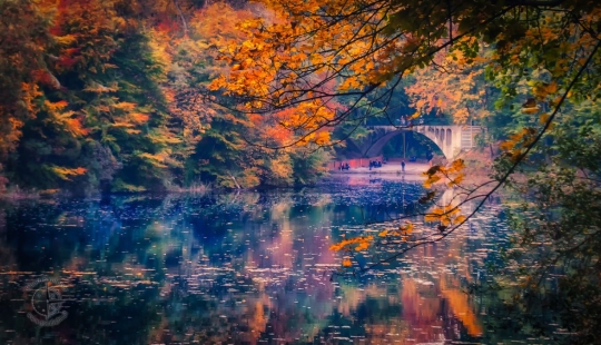 8 wonders of nature that are actually man-made 8 wonders of nature that are actually man-made