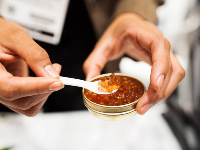 9 alimentos que rara vez ves en un avión