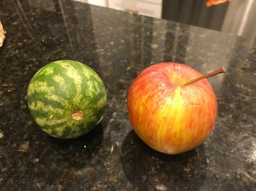 9 Amazing Finds That Caught People Off Guard