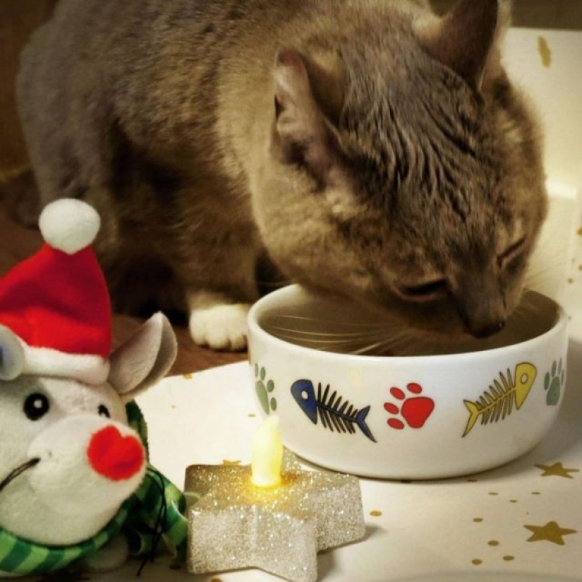 9 Cases When Friendship And Kindness Overcame All Barriers