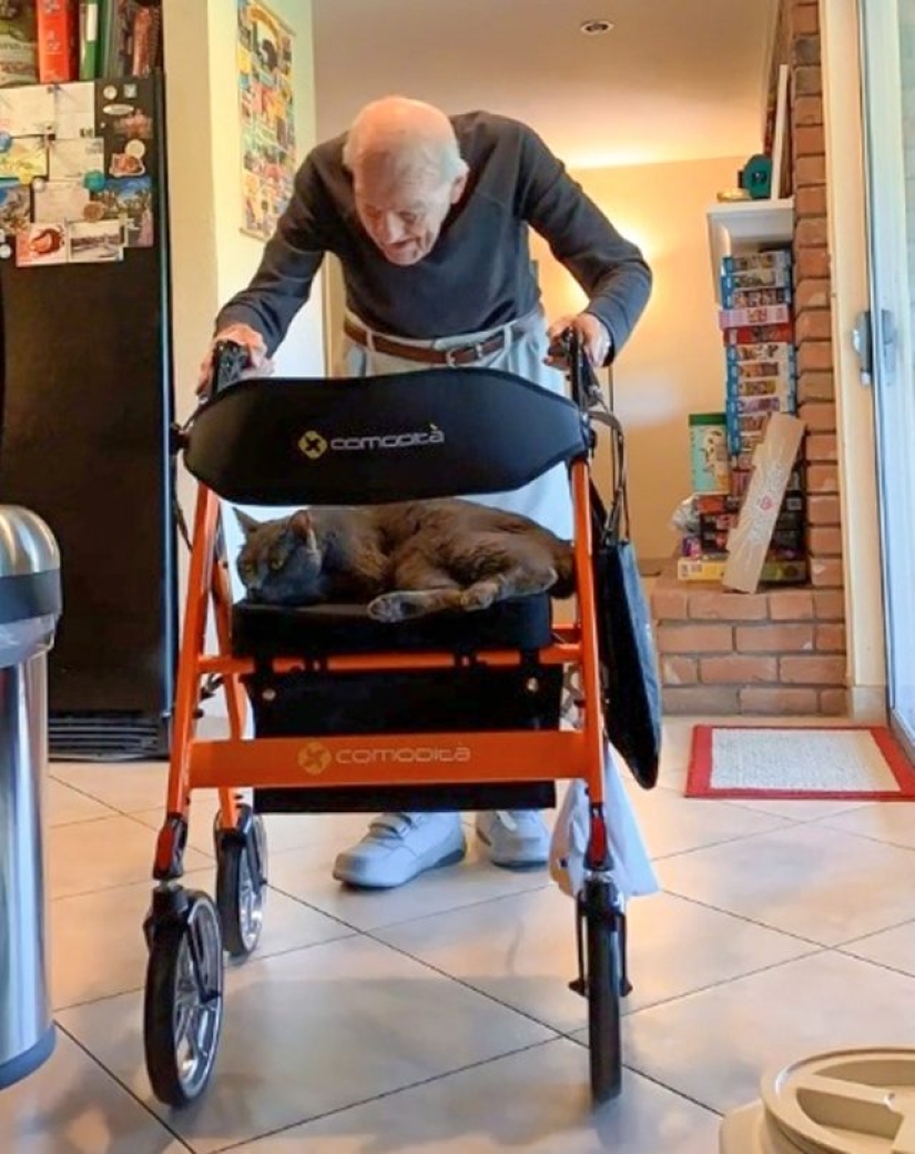 9 Cases When Friendship And Kindness Overcame All Barriers