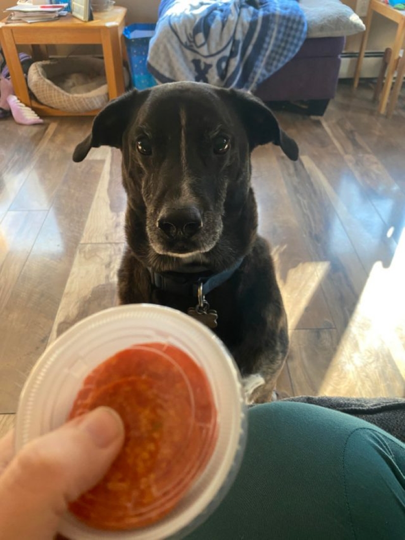 9 casos en los que la amistad y la bondad superaron todas las barreras