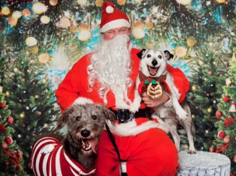 9 casos en los que la amistad y la bondad superaron todas las barreras